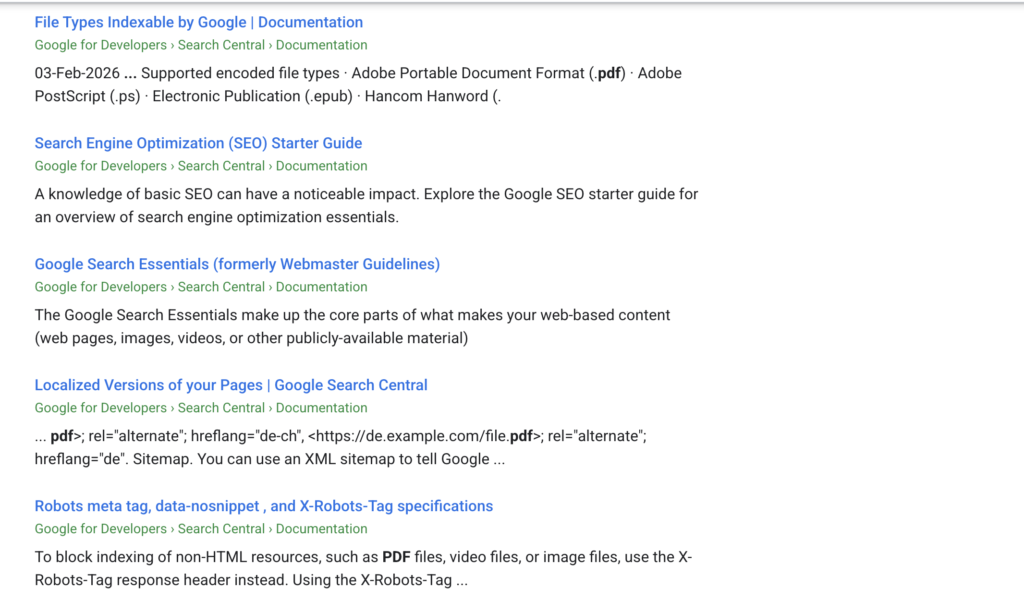  Google SEO PDF 